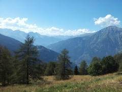 Susa Valley from Gran Bosco di Salbertrand